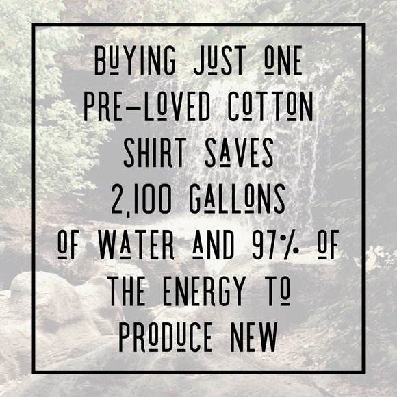 Smoke Free, Dog Friendly Closet - Picture 6 of 7